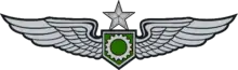 Army Aviation Enlisted Aircrew's Badge (Senior)