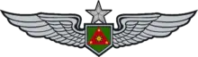 Army Aviation Pilot's Badge (Senior)