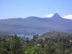 mountain forests with "Sri Pada" (Adam's peak) in the background