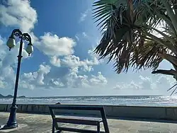 A view of Shrivardhan beach