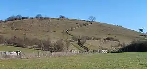 A photograph of a round-topped hill