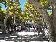 Boules Players in Place des Lices