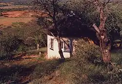 small white house with a tatched roof on a hillside surrounded by bush