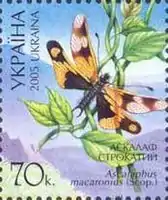 Adult on a 2005 Ukraine postage stamp