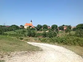 Stari Jankovci