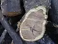 Wood