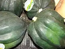 Green acorn squashes