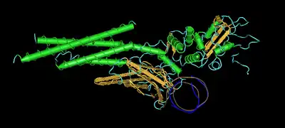 Stat1(CANDF7 mutation on Chromosome 2q32)