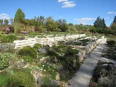 Rockery terraces, September 2018