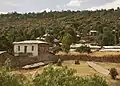 Another stelae field in Aksum.