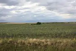 Steppe landscape in Sharlyksky District