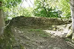 Still standing About the only part of Aberedw castle that can be construed as a wall and in surprisingly good condition.