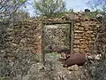 The ruins of a stone building in San Xavier.