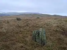 One of the Low Longrigg stone circles