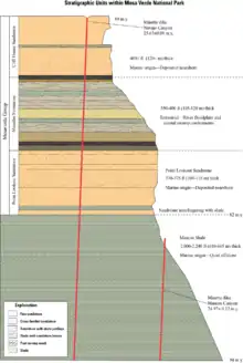 Stratigraphic section of formations exposed at the surface, Mesa Verde National Park, Colorado (USGS).