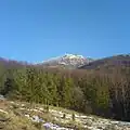 Strážov Mountains Protected Landscape Area