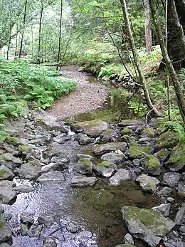 Image 5This stream operating together with its environment can be thought of as forming a river ecosystem. (from River ecosystem)