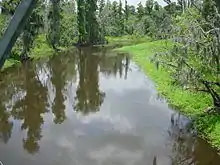 Streamflow changes along upper Peace River