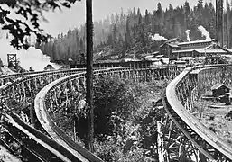 The flume complex at the second Sugar Pine Mill.