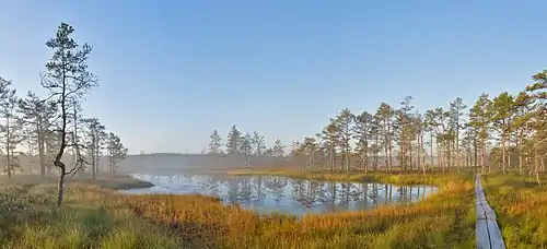 Image 34Sunrise at Viru Bog, Estonia (from Wetland)