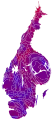 Cartogram of vote with each municipality rescaled in proportion to number of valid votes cast. Deeper blue represents a relative majority for the centre-right coalition, brighter red represents a relative majority for the left-wing coalition.