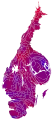 Cartogram of vote with each municipality rescaled in proportion to number of valid votes cast. Deeper blue represents a relative majority for the centre-right coalition, brighter red represents a relative majority for the left-wing coalition.