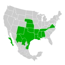 Symphyotrichum divaricatum native distribution: Mexico — Baja California Sur, Chihuahua, Coahuila, and Tamaulipas; US — Alabama, Arkansas, Kansas, Louisiana, Mississippi, Nebraska, New Mexico, Oklahoma, Tennessee, Texas, and Virginia.