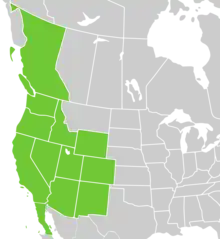 Symphyotrichum frondosum distribution map with the following states and provinces shaded in green: Canada — British Columbia; Mexico — Baja California; US — Arizona, California, Colorado, Idaho, Nevada, New Mexico, Oregon, Utah, Washington, and Wyoming