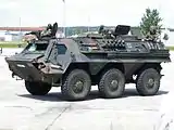 TPz1 Fuchs Pionier.