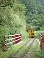 Taiping Mountain Bong Bong Train