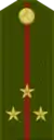 Лейтенанти калонLejtenanti kalon(Tajik National Army)