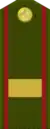 Сержанти калонSerƶanti kalon(Tajik Ground Forces)