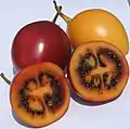 Tomato tree or tamarillo (Solanum betaceum)