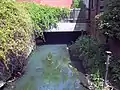 The Oldbury Arm near Hill Top, Wednesbury. This section is heavily industrial, with very little public access, and the river often passing under warehouses and factories.