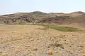 Looking across the small ravine that contains the petroglyphs