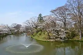 Tanagura Castle Site