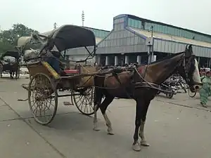 A tanga in Saharanpur, Uttar Pradesh, India.