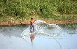 In a pond in Sri Lanka