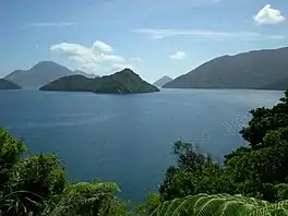 Tarakaipā Island north Tennyson Inlet