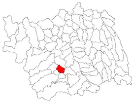 Târgu Trotuș within Bacău County