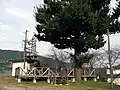 A recreational area under a big tree near the station, set up by the local residents.