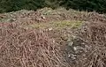 Craigcaffie ( Teroy ) Broch or Fort