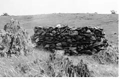 stone wall, La Serena