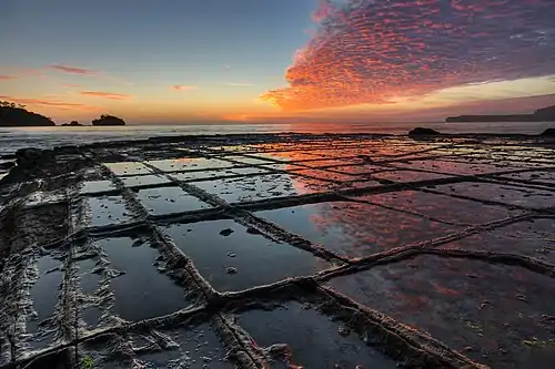 Tessellated pavement: a rare rock formation on the Tasman Peninsula