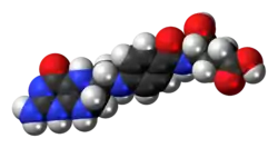 Space-filling model of the tetrahydrofolic acid molecule