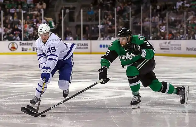 Texas Stars vs Toronto Marlies (29154260728).jpg