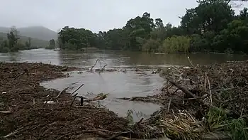 The Sonderend river in flood