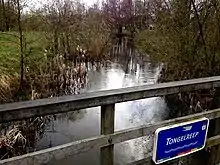 The Tongelreep stream in Aalst.