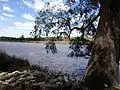 The Ashley river, just behind Drayton Hall