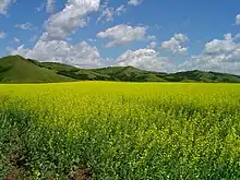 The Qu'Appelle Valley under cultivation in South East Saskatchewan